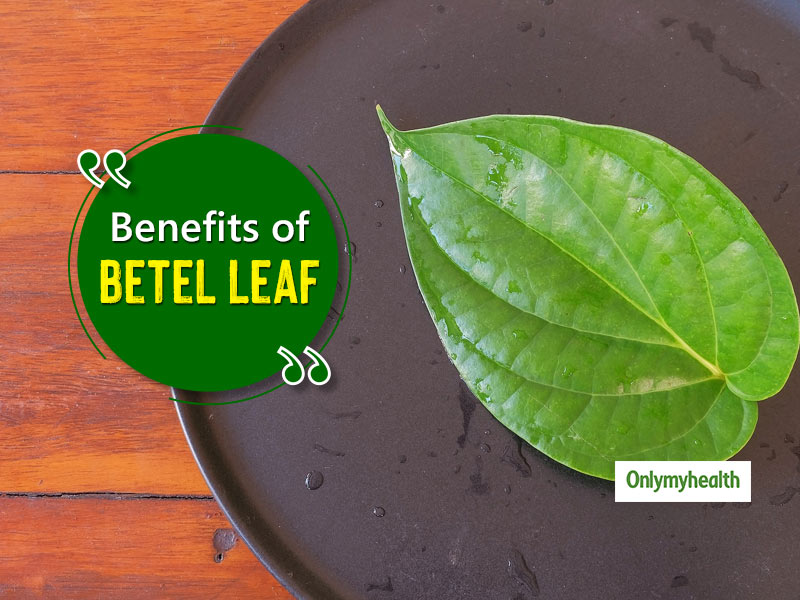 ever-heard-of-these-medicinal-benefits-of-betel-leaves-onlymyhealth